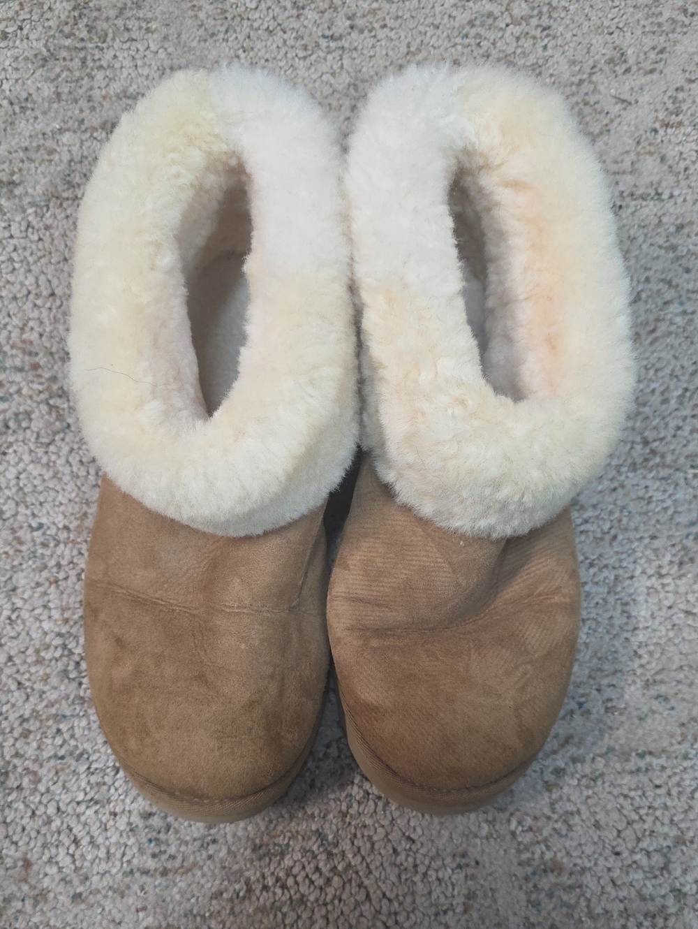 UGG Women's Chestnut Suede with Cream Shearling Collar